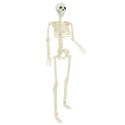 SZKIELET HALLOWEENOWY Z REGULACJĄ 2 SZT. BIAŁY 85CM PVC