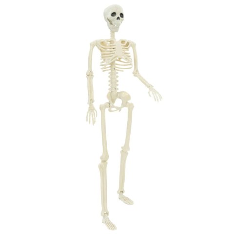 SZKIELET HALLOWEENOWY Z REGULACJĄ 2 SZT. BIAŁY 85CM PVC