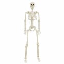 SZKIELET HALLOWEENOWY Z REGULACJĄ 2 SZT. BIAŁY 85CM PVC