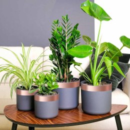 VidaXL Podwójnie klejąca taśma miedziana 6 pcs miedziany 2000 x 5 cm