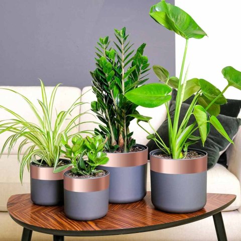 VidaXL Podwójnie klejąca taśma miedziana 6 pcs miedziany 2000 x 7 cm