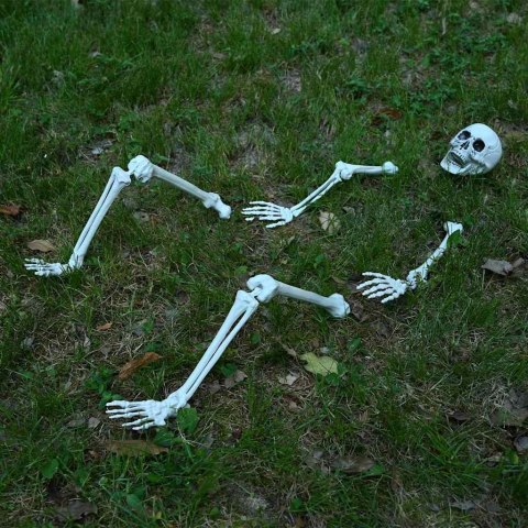 SZKIELET HALLOWEEN BIAŁY 20X10X9.5CM Z TWORZYWA SZTUCZNEGO