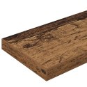 PÓŁKA NA KSIĄŻKI 4 SZT. BRĄZOWY 100X10X1.5CM