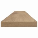 PÓŁKA NA KSIĄŻKI 4 SZT. BRĄZOWY 100X10X1.5CM