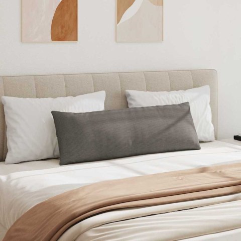 PODUSZKI NA SOFĘ 2 SZT. JASNOSZARY 120X40CM