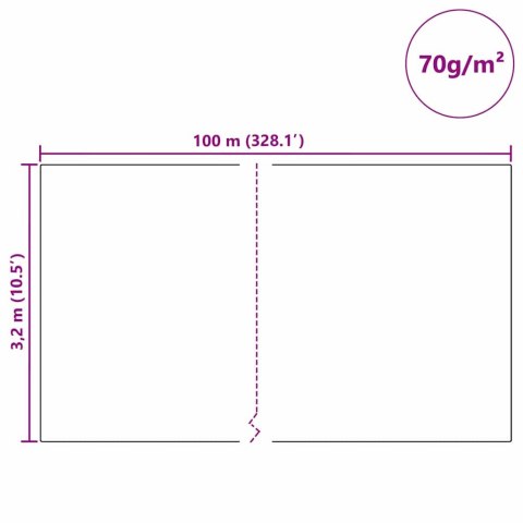 VidaXL Fleece Ochronny dla Roślin Przed Mrozem Biały 100 x 3,2 m