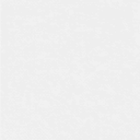 ZIMOWA OSŁONA NA KRZEWY I ROŚLINY PRZED MROZEM OCHRONNE OKRYCIE 5 SZT BIAŁY