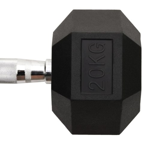 VidaXL Hantel, 20 kg, żeliwo
