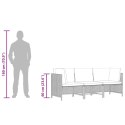 VidaXL 3-osobowa sofa ogrodowa z poduszkami, szara, polirattanowa