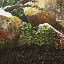 VidaXL Piasek do akwarium, 10 kg, czarny, 0,2-2 mm