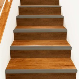 VidaXL Listwy schodowe 10 pcs szampański 67 cm Aluminium