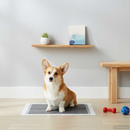 VidaXL Podkład treningowy dla zwierząt Gładki 200 pcs 90 x 60 cm