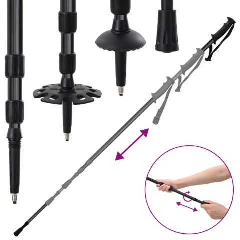 VidaXL Rakiety śnieżne 3 w 1 z kijami trekkingowymi Niebieski 21 cali