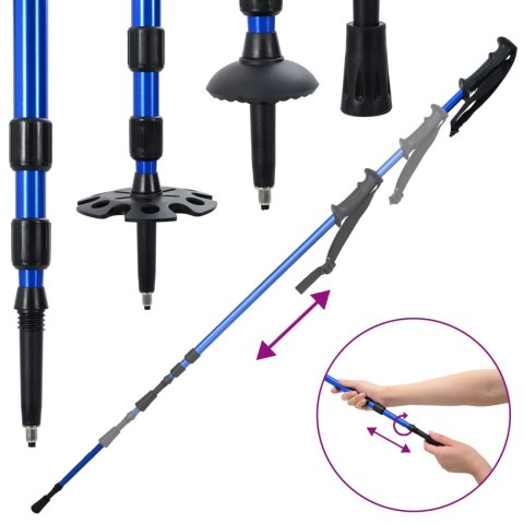 VidaXL Rakiety śnieżne 3 w 1 z kijami trekkingowymi Niebieski 30 cali