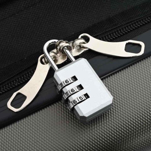 VidaXL Walizka Z blokadą ciemno szary 50 x 30 x 76 cm Plastik ABS