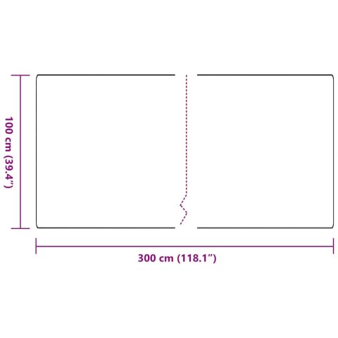VidaXL Bieżnik dywanowy Antracyt 100 x 300 cm 100% polipropylen