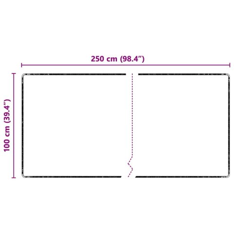VidaXL Bieżnik dywanowy Szary 100 x 250 cm 100% Poliester Tuft
