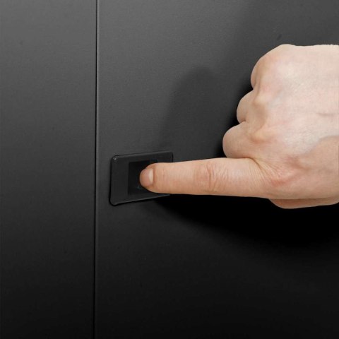 VidaXL Szafa sieciowa z przechowywaniem Czarny 53 x 35 x 21 cm Stal