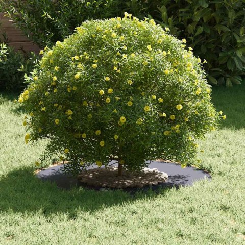 VidaXL odpowiedni dla płaskiego pierścienia drzewa Antracyt Ø30 / 60 cm