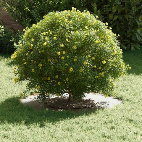 PIERŚCIEŃ DREWNY OBRZEŻE OGRODOWE METALOWE BIAŁY Ø30 / 60CM