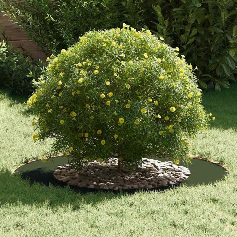 VidaXL odpowiedni dla płaskich pierścieni drzewa 5 pcs oliwkowy