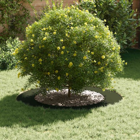 VidaXL odpowiedni dla płaskiego pierścienia drzewa oliwkowy Ø60 / 90 cm