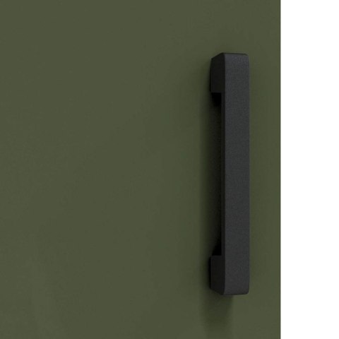 PRZECHOWYWANIE W KUCHNI ZIELONY OLIWKOWY 60X 50X 92CM STAL