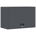 SZAFKA ŚCIENNA DO GARAŻU ANTRACYT 80X 40X 53CM
