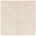 ANTYPOŚLIZGOWY DYWAN SHAGGY KREMOWY 200X 200CM PP