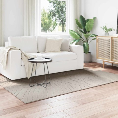 DYWANY POKOJOWE PROSTOKĄTNY KREMOWY 170X 120CM