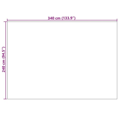 DYWANY POKOJOWE PROSTOKĄTNY KREMOWY 340X 240CM