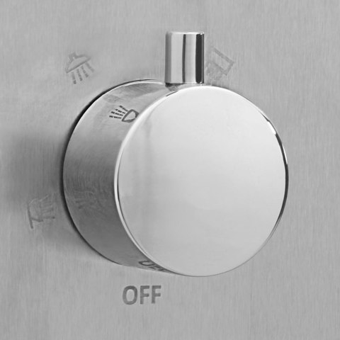 VidaXL Prysznic ogrodowy z podstawą, WPC, stal nierdzewna