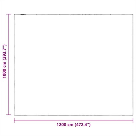 PRZEZROCZYSTA PLANDEKA Z OCZKAMI 10X12M POLIETYLEN