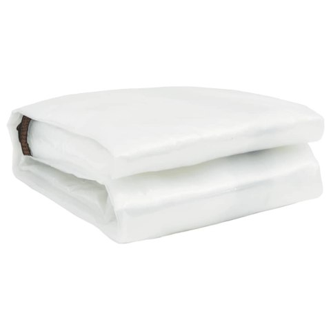 PRZEZROCZYSTA PLANDEKA Z OCZKAMI 6X10M POLIETYLEN