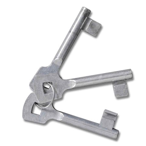 VidaXL Ogrodowa brama ogrodowa z siatki, krata ścienna, 300x175 cm