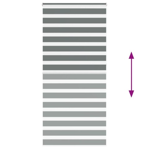 VidaXL Roleta zebra, ciemnoszara, szerokość tkaniny 110,9cm, poliester