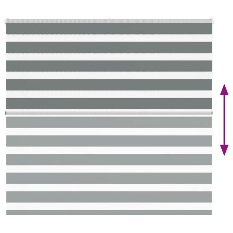 VidaXL Roleta zebra, ciemnoszara, szerokość tkaniny 155,9cm, poliester