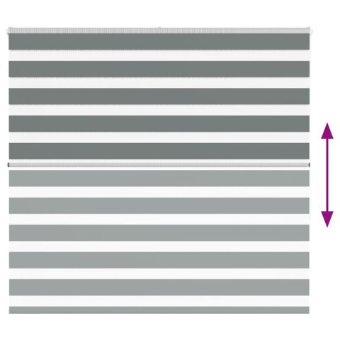 VidaXL Roleta zebra, ciemnoszara, szerokość tkaniny 160,9cm, poliester