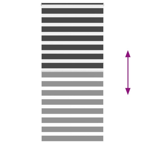 VidaXL Roleta zebra, czarna, szerokość tkaniny 110,9 cm, poliester