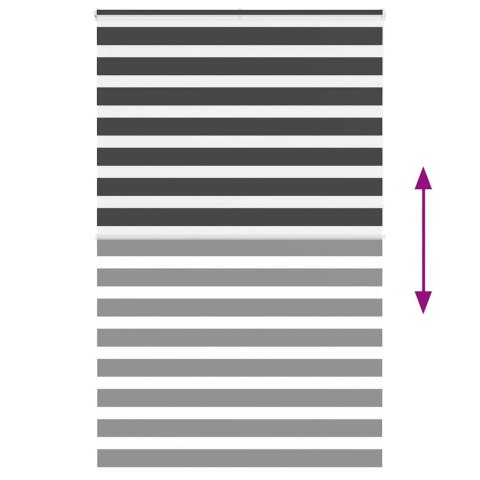 VidaXL Roleta zebra, czarna, szerokość tkaniny 140,9 cm, poliester