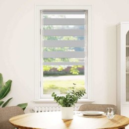 VidaXL Roleta zebra, jasnoszara, szerokość tkaniny 50,9 cm, poliester