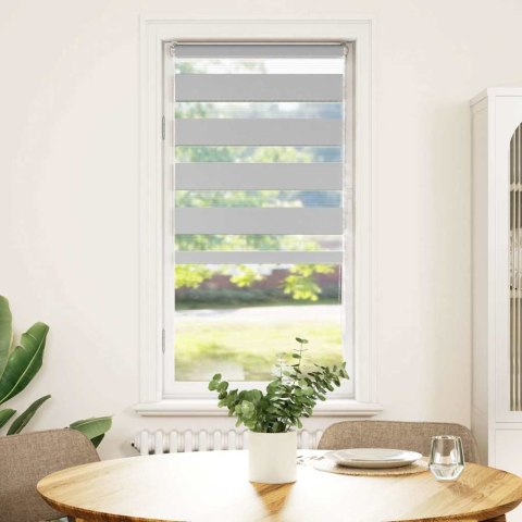 VidaXL Roleta zebra, jasnoszara, szerokość tkaniny 50,9 cm, poliester