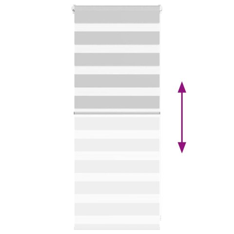 VidaXL Roleta zebra, jasnoszara, szerokość tkaniny 50,9 cm, poliester