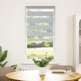 VidaXL Roleta zebra, jasnoszara, szerokość tkaniny 55,9 cm, poliester