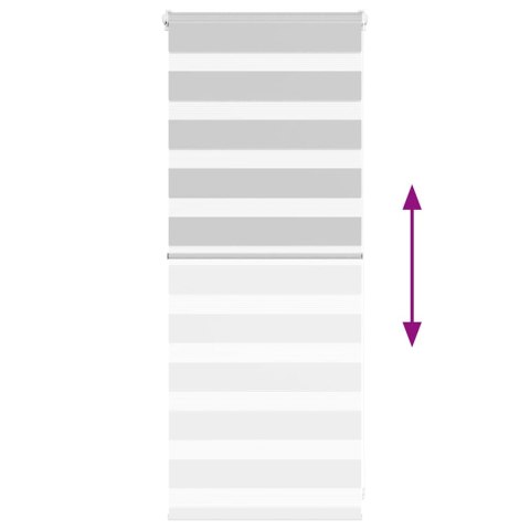 VidaXL Roleta zebra, jasnoszara, szerokość tkaniny 55,9 cm, poliester