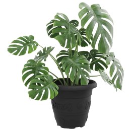 ZESTAW 24X DONICZKA OGRODOWA 26X21,5 CM CZARNA OKRĄGŁA PLASTIKOWA KWIETNIK