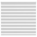 VidaXL Roleta zebra, jasnoszara, szerokość tkaniny 150,9cm, poliester
