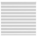 VidaXL Roleta zebra, jasnoszara, szerokość tkaniny 155,9cm, poliester