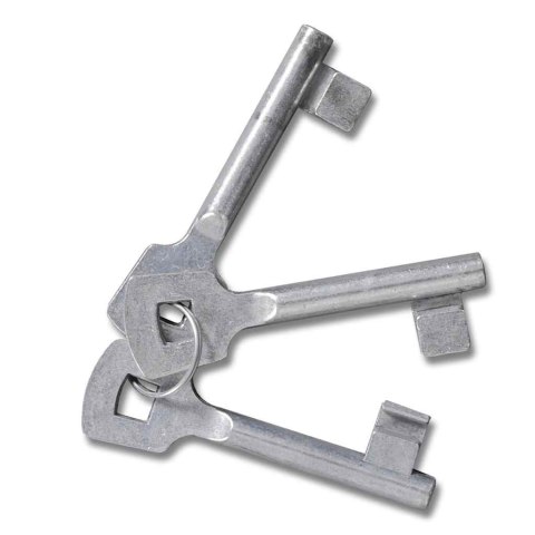 VidaXL Brama ogrodowa z siatki ocynkowanej, stal 300x200 cm, szara