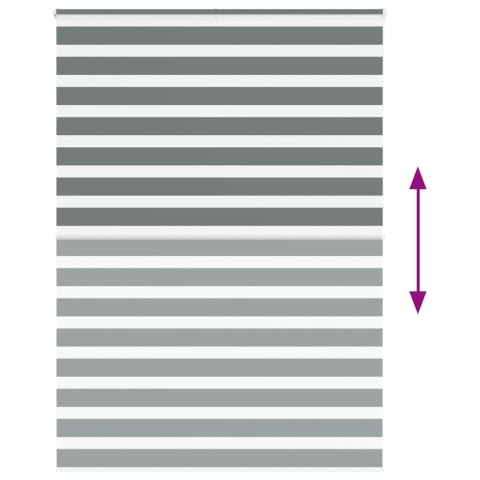 VidaXL Roleta zebra, ciemnoszara, szerokość tkaniny 160,9cm, poliester